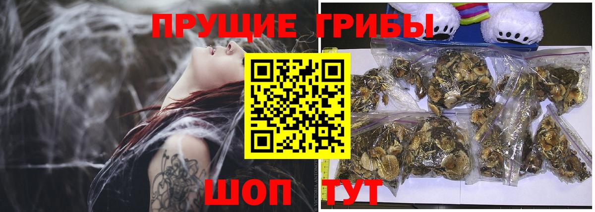 Россошь  Псилоцибиновые грибы Psilocybe  Псилоцибиновые грибы Magic Shrooms  Вход с VPN 